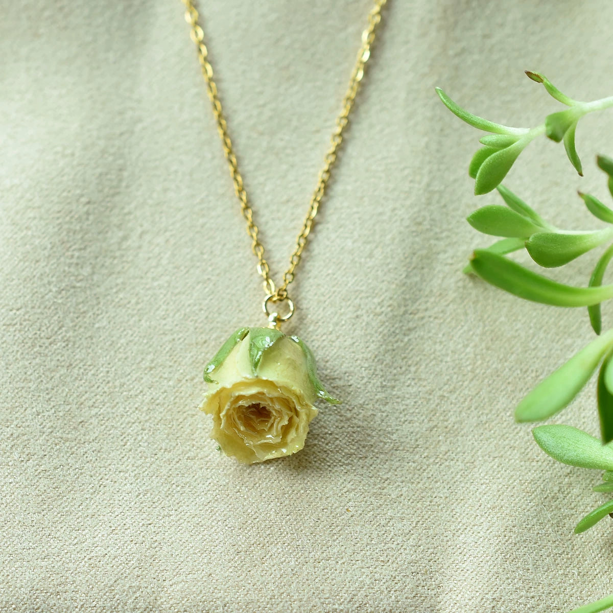 Small fresh forest style romantic and elegant white rose necklace real flower gum tree clavicle chain gift for women